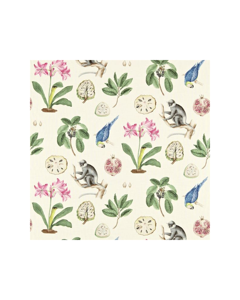 Tela CAPUCHINS DVOY223273-chintz Sanderson