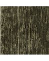 Icaria Birch DICA232918