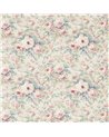 Amelia Rose Wedgwood Rose DFAB223977